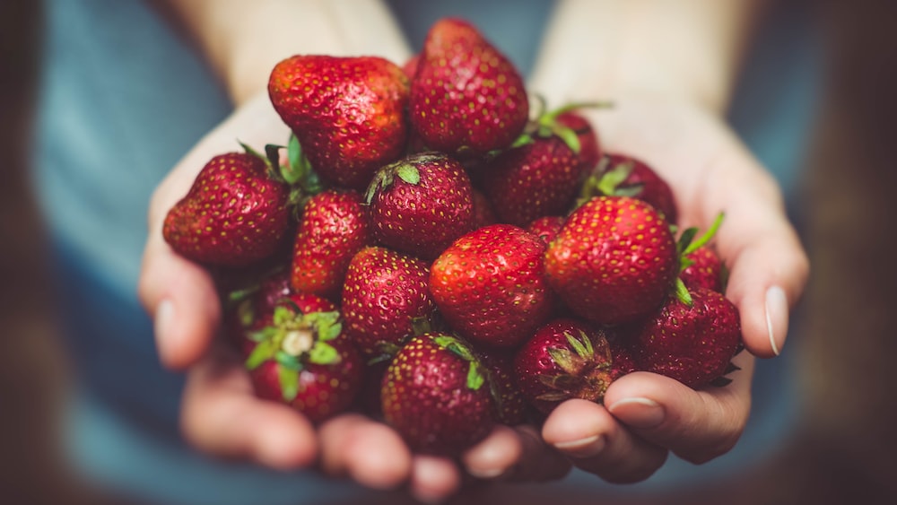 Allergy Symptoms: Fresh Strawberries on Person's Palm