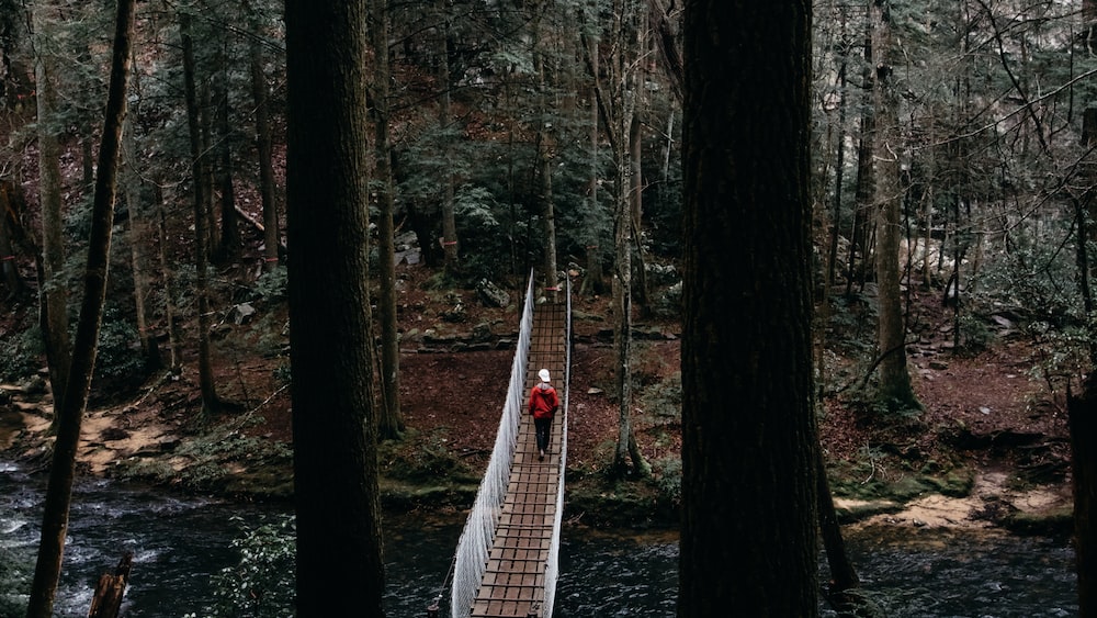 Exploration of a person walking on a hanging bridge surrounded by trees