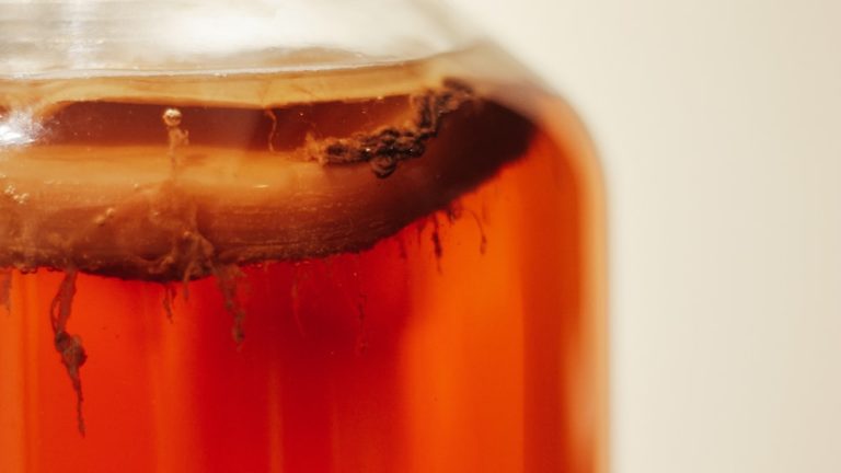 Unleash The Power Of Fermented Tea Probiotics For Gut Health