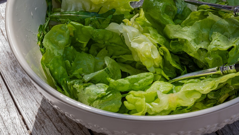 Fresh Green Salad: A Refreshing Diet Makeover Option