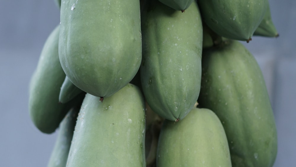 Papaya Seeds: Unleashing the Power of Nature's Green Fruit