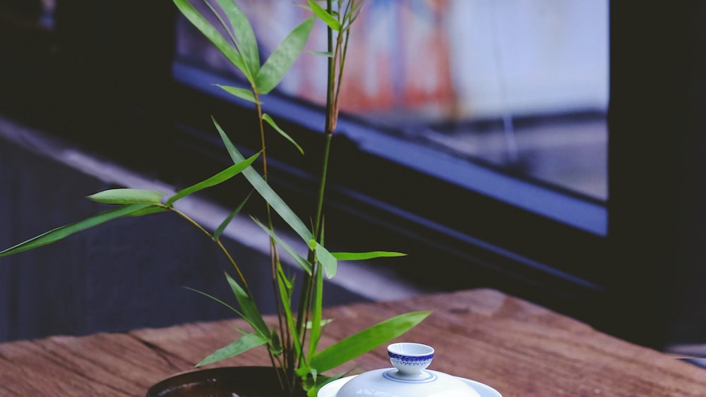 Unfermented Tea in a White Ceramic Bowl