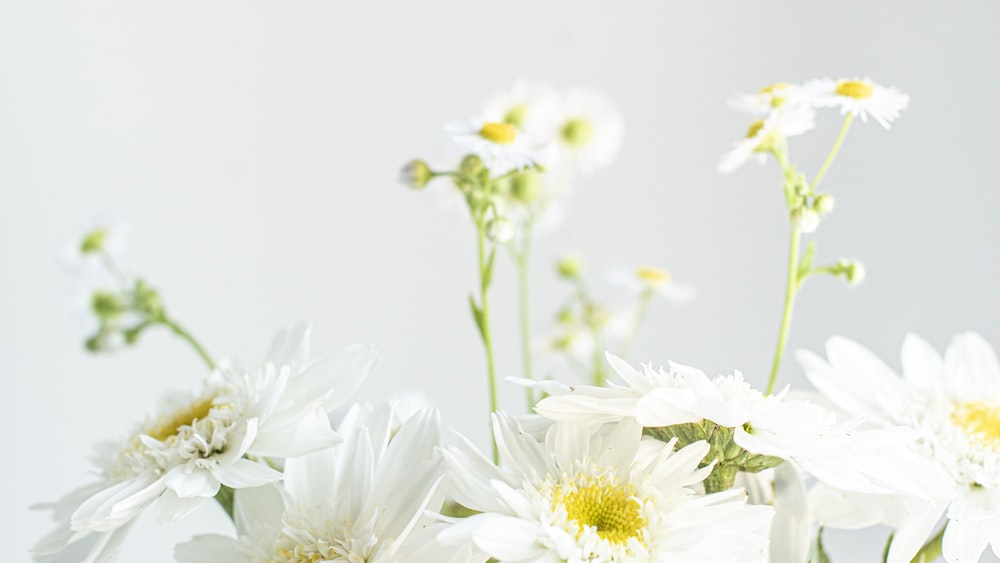White Tea: Minimal and Vintage White and Yellow Flowers in a Ceramic Vase